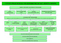 Высшим органом самоуправления в учреждении является Общее собрание работников учреждения, которое функционирует в целях реализации законного права работников ДДТ «Центральный» на участие в управлении учреждением, осуществления на деле принципа коллегиальности управления учреждением.
К структурам, предопределяющих принятие в Учреждении стратегических управленческих решений относятся
- Совет Учреждения - коллегиальный орган, обеспечивающий демократический, общественный характер управления процессом образования, основная цель которого заключается в оказании содействия в реализации стратегии развития Учреждения. Совет учреждения  работает в тесном контакте с администрацией ДДТ «Центральный».
- Педагогический совет - создан с целью развития и совершенствования образовательного процесса и действует в соответствии с локальным актом – «Положением о педагогическом Совете МБУДО ДДТ «Центральный»
- Учебно-методический совет - профессиональный коллективный орган, занимающийся вопросами организации методической работы и действующий в соответствии с «Положением об учебно- методическом Совете МБУДО ДДТ «Центральный».
Первичная профсоюзная организация учреждения представляет и защищает индивидуальные и коллективные социально- трудовые, профессиональные, экономические и иные права и интересы работников учреждения, членов Профсоюза.  
Непосредственное управление ДДТ «Центральный» осуществляет директор, прошедший соответствующую подготовку. Оперативное управление образовательным процессом осуществляет заместитель директора по учебно- воспитательной работе,  который выполняет информационно- статистическую, мотивационно-целевую, планово-прогностическую, организационно- исполнительскую, контрольно-диагностическую, коррекционно- регулятивную функции.
В учреждении действует модель организации образовательного процесса, которая предполагает обязательное взаимодействие заместителя директора по учебно- воспитательной работе и заведующих структурными подразделениями по реализации «Рабочей программы развития и функционирования МБУДО ДДТ «Центральный», «Образовательной  программы МБУДО ДДТ «Центральный», «Программы воспитания МБУДО ДДТ «Центральный». Научно - методическое и психологическое сопровождение подразумевает деятельность учебно- методической, учебно- дидактической и психолого- педагогической служб, согласуемое по единым требованиям оценки качества целостного образовательного процесса. Деятельность службы обеспечения жизнедеятельности учреждения направлена на организацию безопасной предметно- пространственной среды учреждения, в том числе в условиях оптимизации кадрового состава. 
В учреждении создано шесть структурных подразделений: отдел досуга, отдел спорта, техники и краеведения, отдел художественного образования, отдел профилизации и социализации обучающихся, Центр интеллектуального развития детей и подростков, дошкольная студия «Веселый улей», в рамках которых осуществляется оценка качества достигнутого детьми и подростками образования с учетом профиля предметной направленности деятельности.